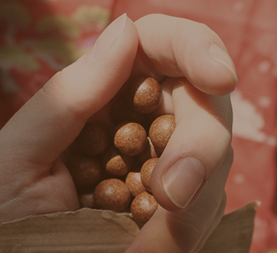 Фитотерапия