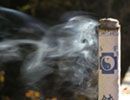 Без полыни какое здоровье?