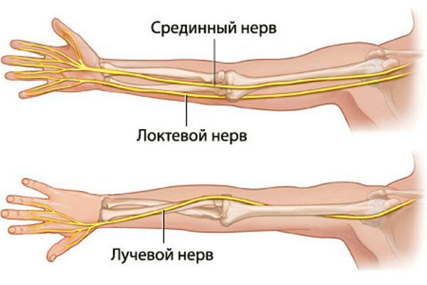 osteopaty-tunel-3.jpg